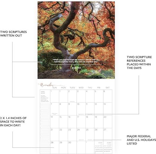 Calendario 2021 Promessa Calendario Cristiano Foto Versi Della Bibbia Agenda 12 X 12 In Amazon It Cancelleria E Prodotti Per Ufficio calendario liturgico 2021 22