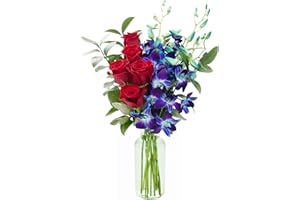 KaBloom Flowers - Bouquet of Red Roses and Blue Orchid with Vase - Gift for Birthday, Sympathy, Anniversary, Get Well, Thank You, Valentine, Mother’s Day Fresh Flowers