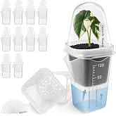 Vandorelle 12 Pack 2" Small Clear Self Watering Pots with Humidity Dome for Indoor Plants, Seed Starter Cups, Tissue Culture Acclimation Kit,Alocasia Corm Propagation,African Violet,Cuttings,Seedlings