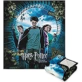 Northwest Harry Potter Silk Touch Sherpa Throw Blanket, 50" x 60", Core Three
