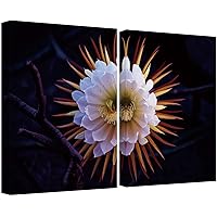 SIGNWIN Canvas Wall Art Queen of The Night Cactus White Flower Night-Blooming Cereus Botanical Plants Photography Minimalism Modern Closeup for Living Room, Bedroom, Office - 16