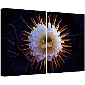 SIGNWIN Canvas Wall Art Queen of The Night...