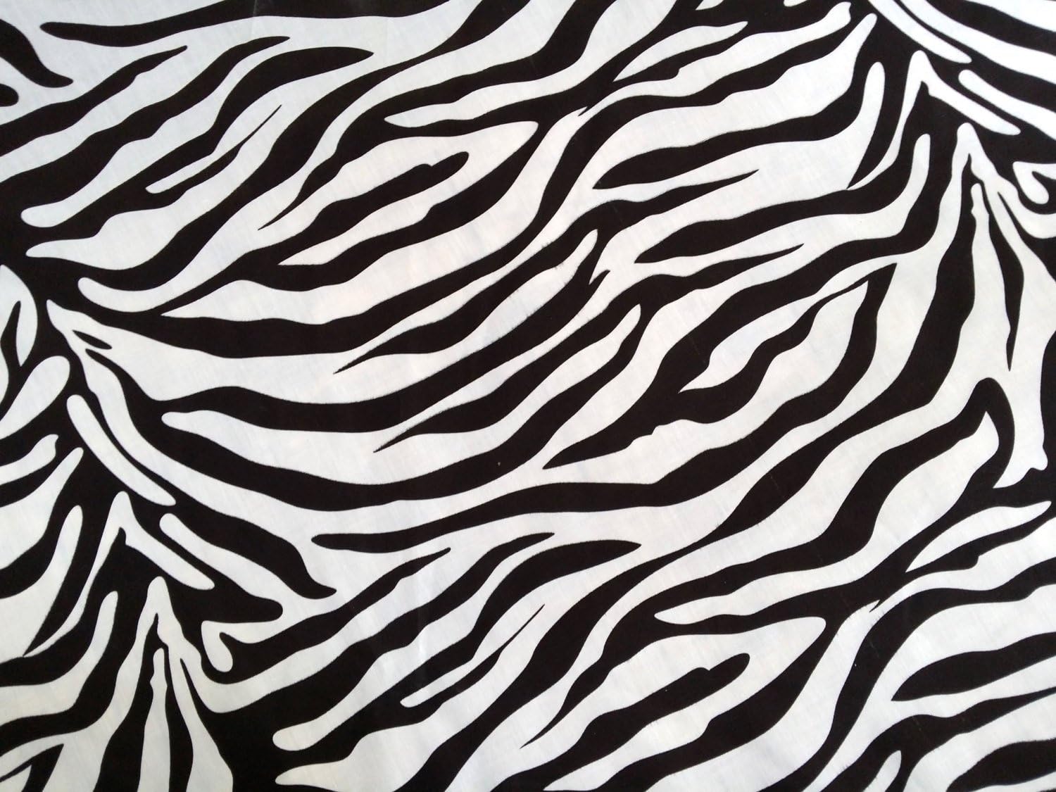 black and white animal pictures to print