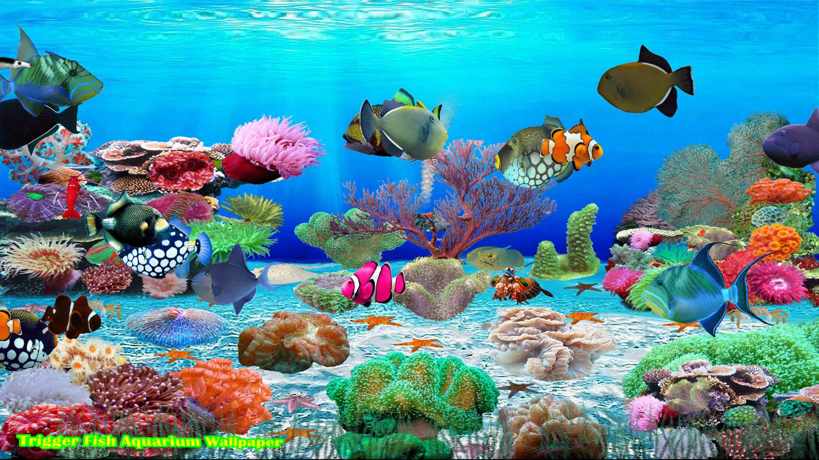 Trigger Fish Screen Saver [Download] - Thumbnail 2