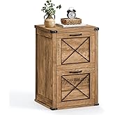 VASAGLE File Cabinet, Filing Cabinet with 2 File Drawers, Printer Stand, Fit A4, Letter Size, Hanging File Folders, Modern Farmhouse Style, for Home Office, Honey Brown UOFC048T41