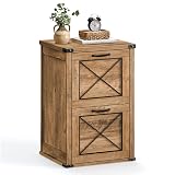 VASAGLE File Cabinet, Filing Cabinet with 2 File Drawers, Printer Stand, Fit A4, Letter Size, Hanging File Folders, Modern Farmhouse Style, for Home Office, Honey Brown UOFC048T41