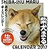 2017年 柴犬まる週めくり卓上カレンダー ([カレンダー])