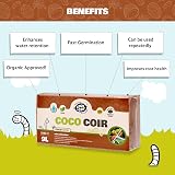 Coco&Coir 100% Natural Organic Coconut Coir Compost Brick 9L view 3