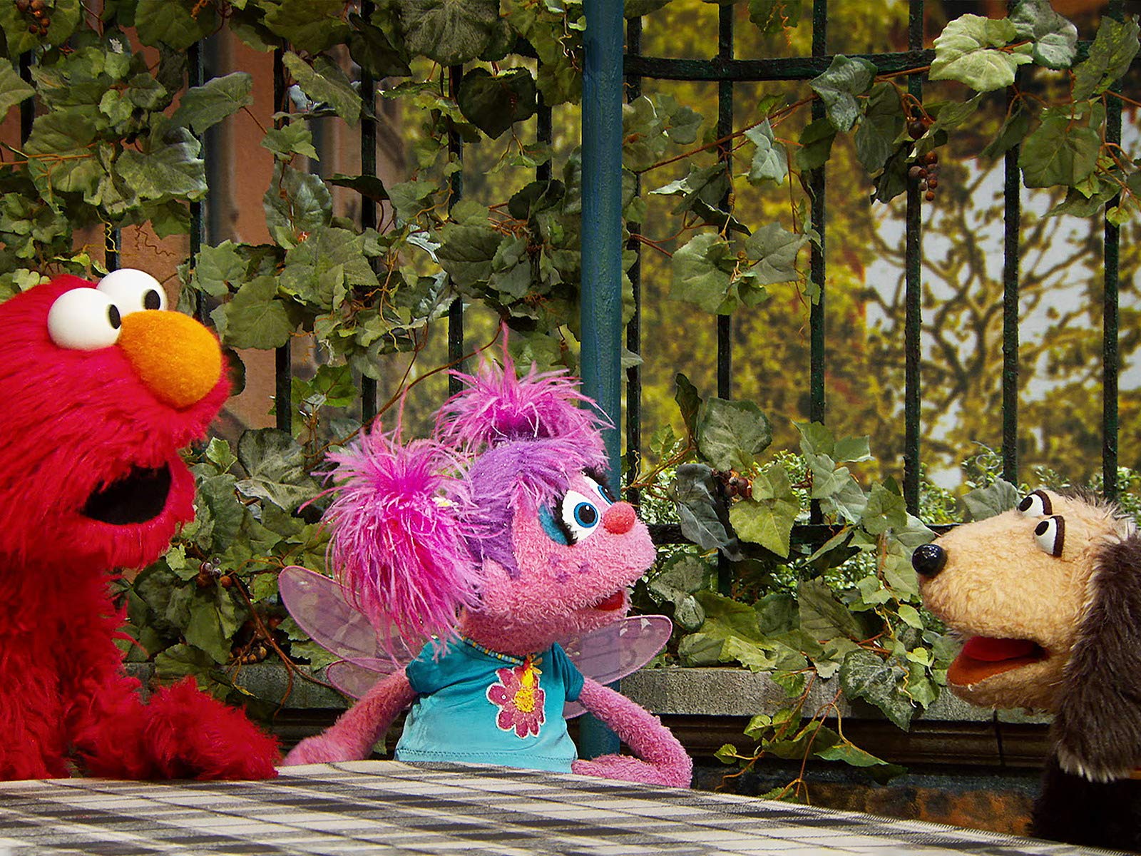 Watch Sesame Street Season 50 Prime Video