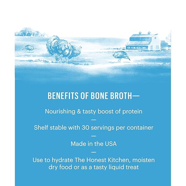 THE HONEST KITCHEN HUMAN GRADE DAILY BOOSTERS: INSTANT TURKEY BONE BROTH WITH TURMERIC, 3.6 OZ