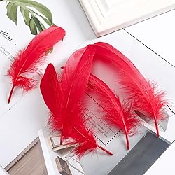 100PCS Natural Goose Feathers Decoration - Assorted