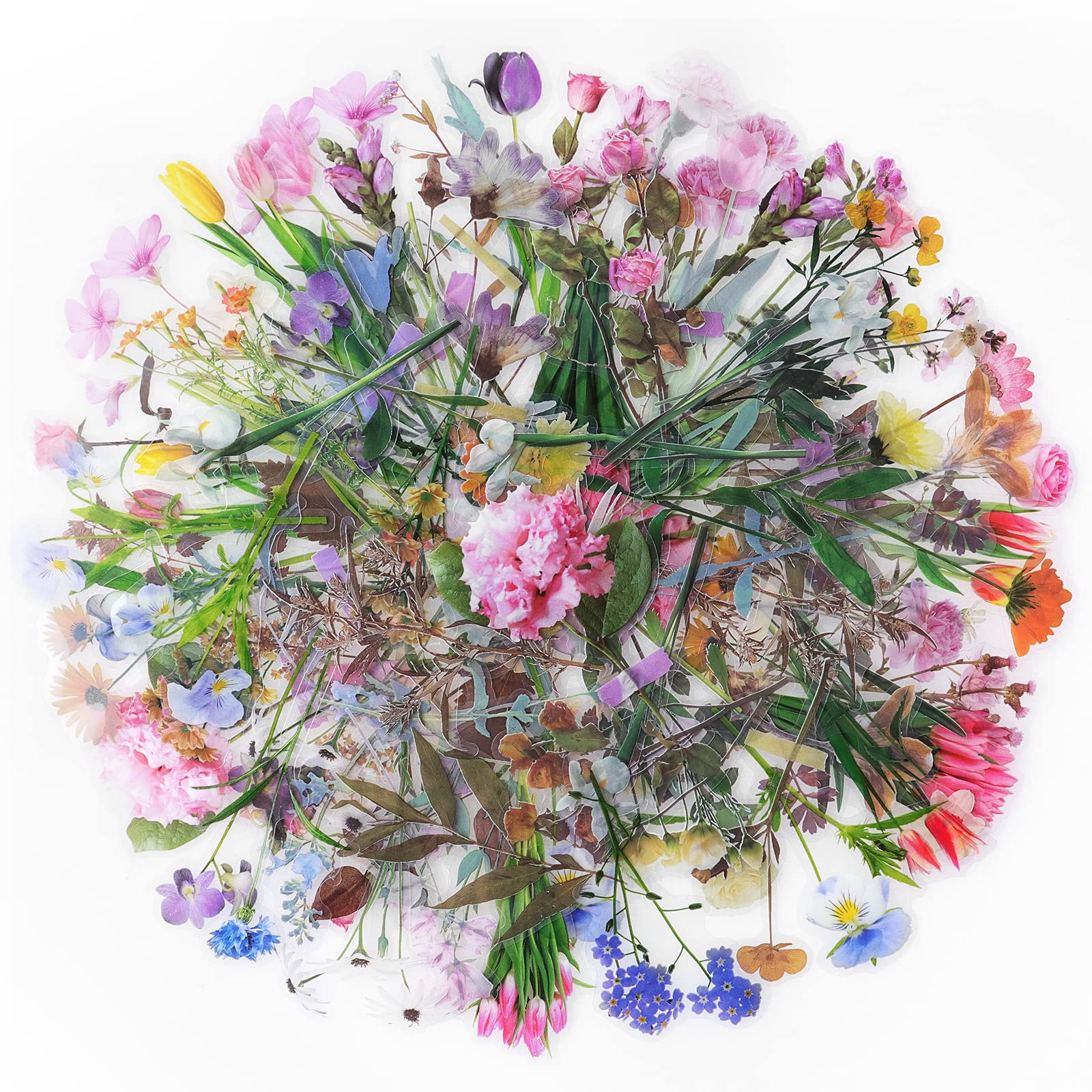 NOGAMOGA 240pcs Flowers Sticker Set, PET Transparent Decorative Stickers with Special Shaped, 6 Nature Themes Plants Stickers for Scrapbooking, Arts, DIY Crafts, Bullet Journals, Laptops