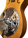 The Feather Dobro Square Neck Resonator Guitar