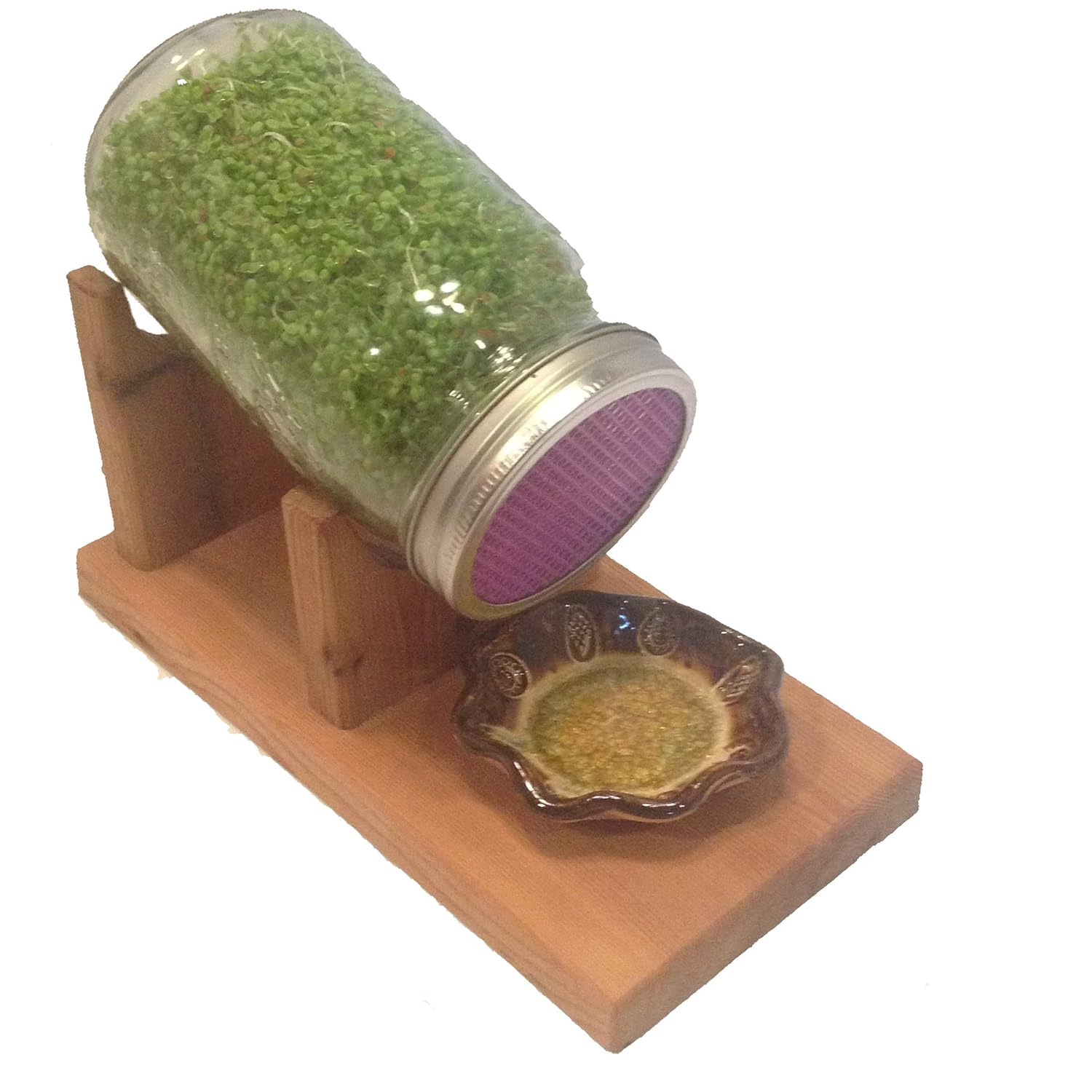 The Sprout Stand Sprouting Kit: Grocery & Gourmet Food