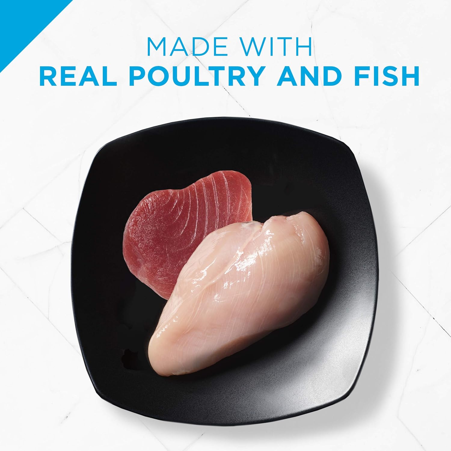 Purina Pro Plan Wet Kitten Food Variety Pack, FOCUS Kitten Favorites - (24) 3 oz. Cans : Pet Supplies