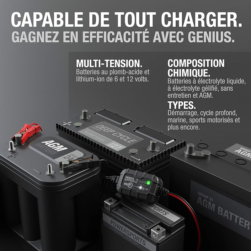 GENIUS2: Chargeur de Batterie Intelligent 2A 6V/12V – Maintien Automatique, Charge Lente & Désulfateur – Protection Surcharge & Compensation Température – pour Batteries Plomb & Lithium