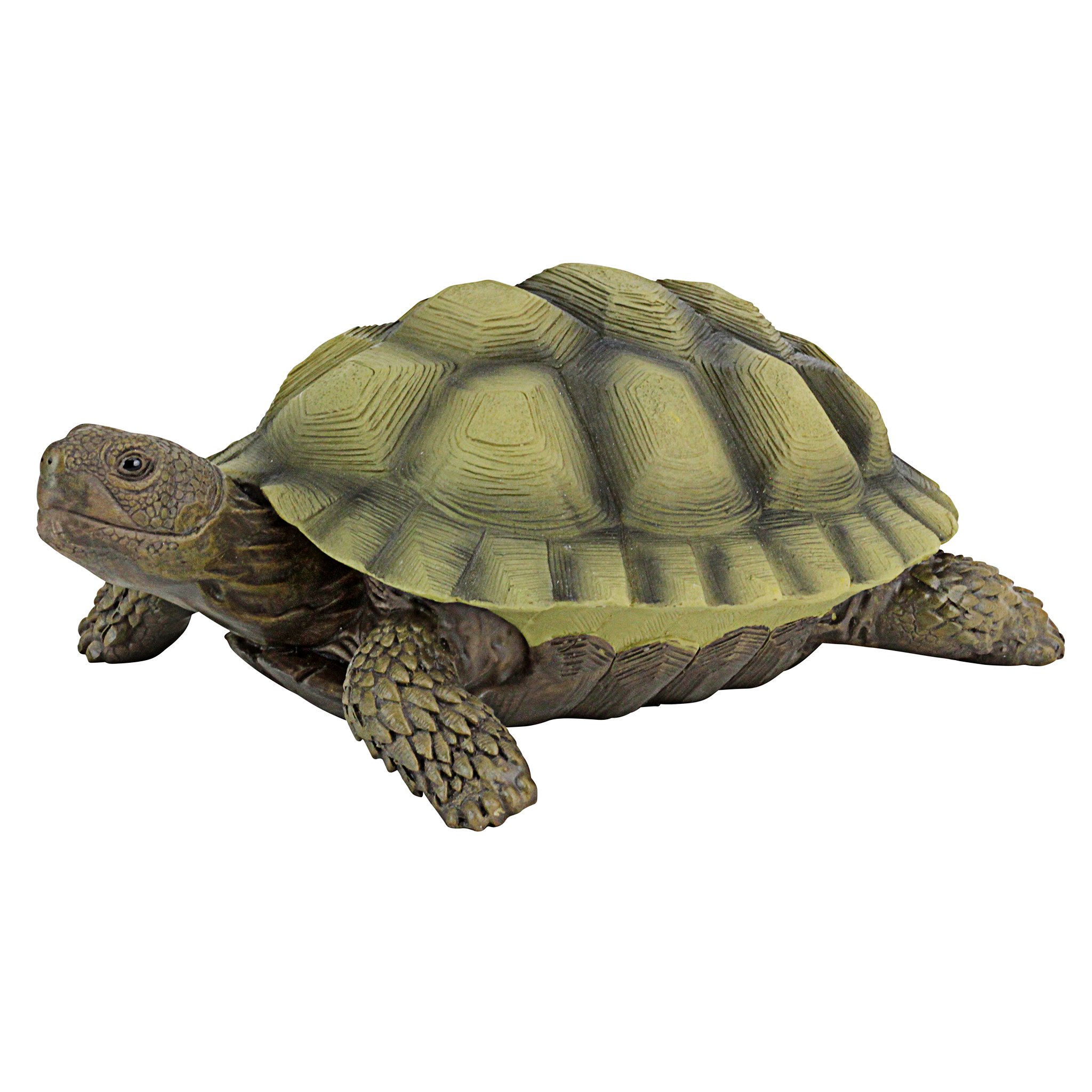 Design Toscano Gilbert the Box Turtle Garden Decor Animal Statue, 22.75 cm, Polyresin, Full Color, Set of One