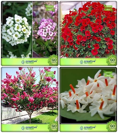 Creative Farmer Fruit Seeds Combo Tree Seeds : Lagerstroemia Speciosa, Parijat, Sweet Alyssum, Petunia- Red Flower Seeds Kitchen Garden Pack