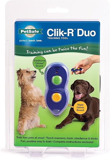 clicker training two dogs