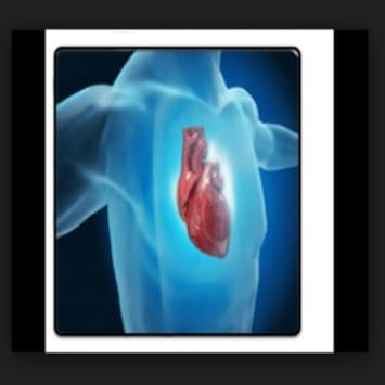 Amazon Com Fat Burning Kitchen Cookbook Appstore For Android