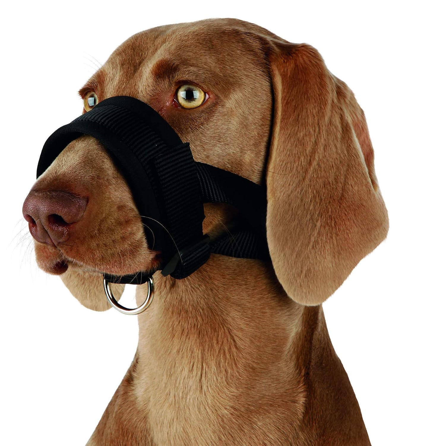 Muselière Pour Chien En Maille Douce - Taille L - Empêche Morsure, Permet Haleter Et Boire - Réglable