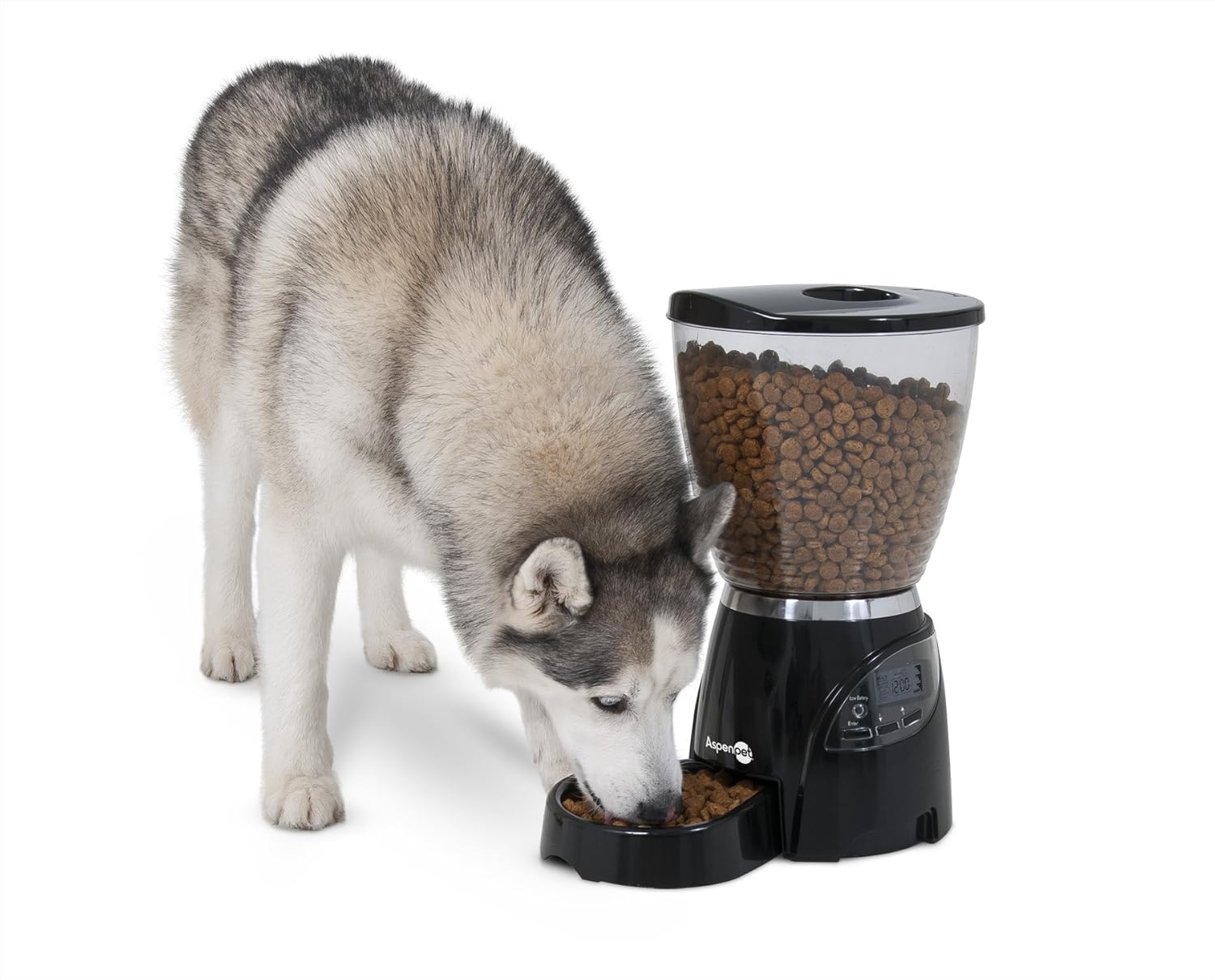 Купить Aspen Pet Lebistro Programmable Food Dispenser в интернет