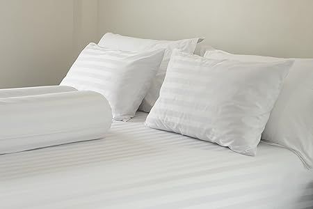 Amazon Com East Coast Bedding 2 Pack Luxury Goose Feather Down