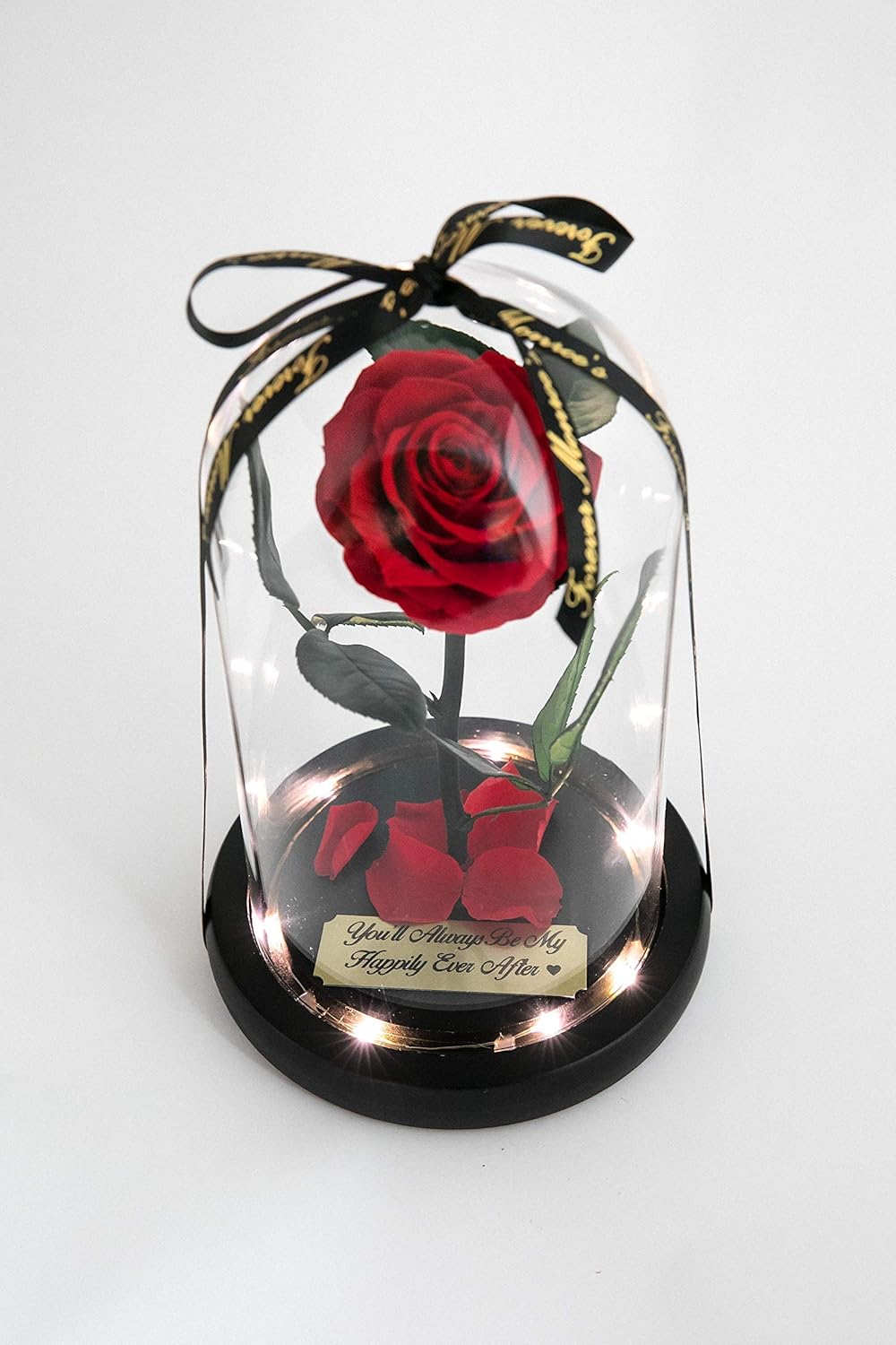 Rose In Glass Dome With Metal Engraved Plaque Inspired By Beauty And The Beast Rose Real Preserved Red Rose In Large Glass Dome With Led Lights Artificial Flora Home Decor Fcteutonia05 De