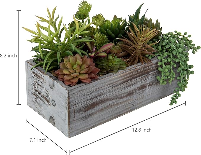 MyGift - Plantas suculentas artificiales en caja de madera: Amazon.es: Hogar