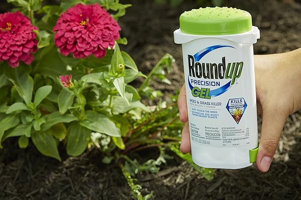 ROUNDUP PRECISION GEL WEED & GRASS KILLER 5 OZ (150ML)