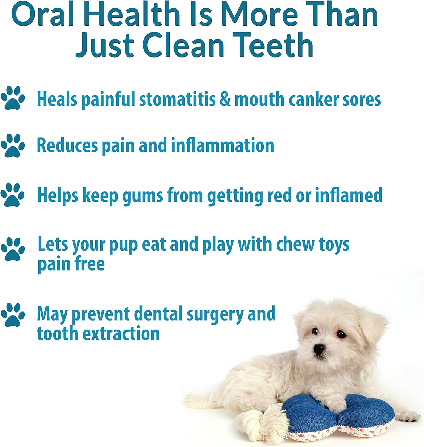 BestLife4Pets Oral Health for Dogs Dental Remedy - Highly Effective Natural Treatment for Inflammatory & Ulcerative Ailments, Stomatitis and Gingivitis. No Smell, No Side Effects : Pet Supplies