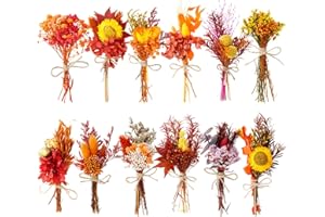 WGXX 10/12/24 Pack Dried Flowers for Vase Various Mini Bouquet Dried Small Wildflowers Natural Real Flowers Bulk for Crafts DIY Wedding Decor (12, Autumn Color)