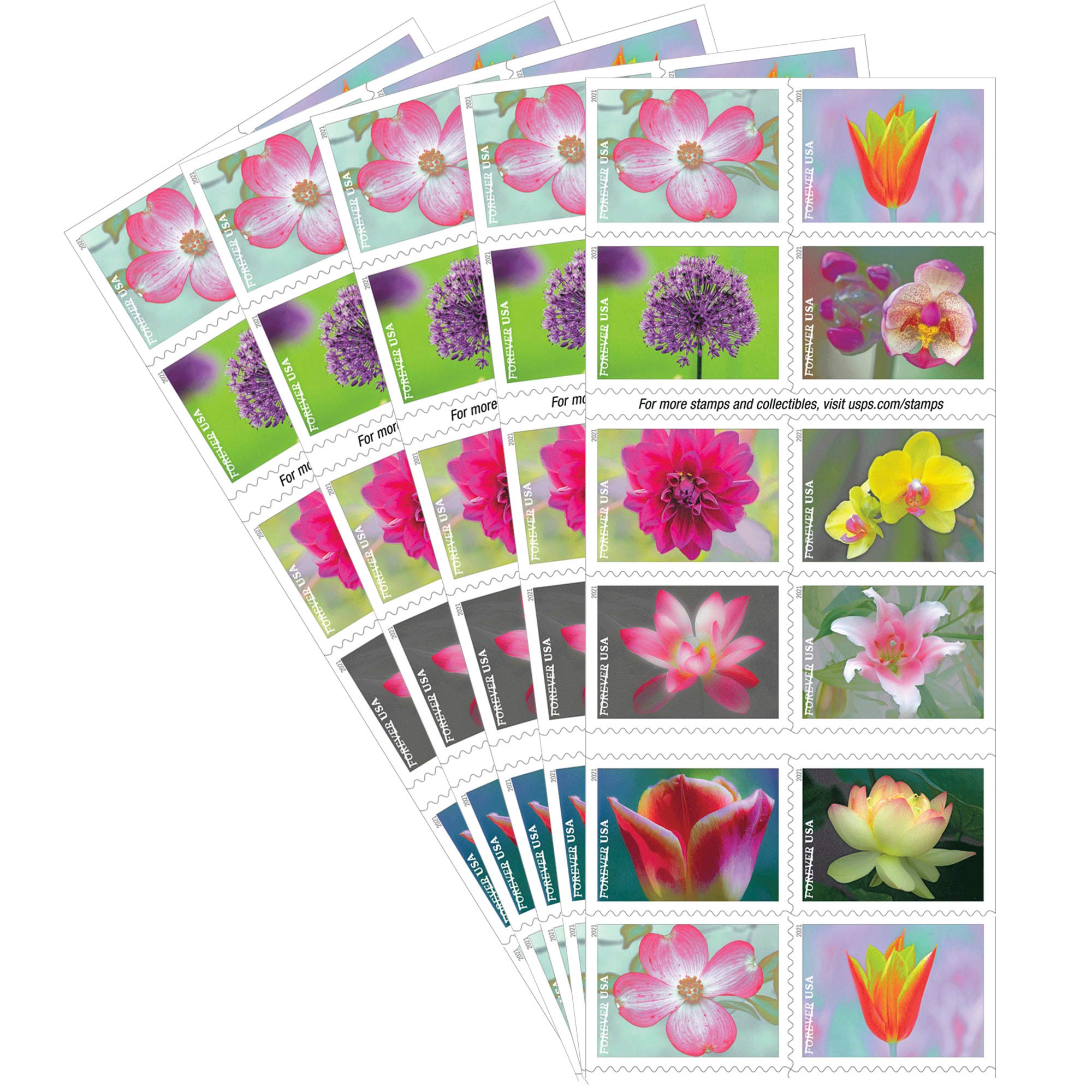 USPS Garden Beauty Forever Postage Stamps 5 Books of 20 US Postal First Class Wedding Celebration Anniversary Flowers Party (100 Stamps) Image