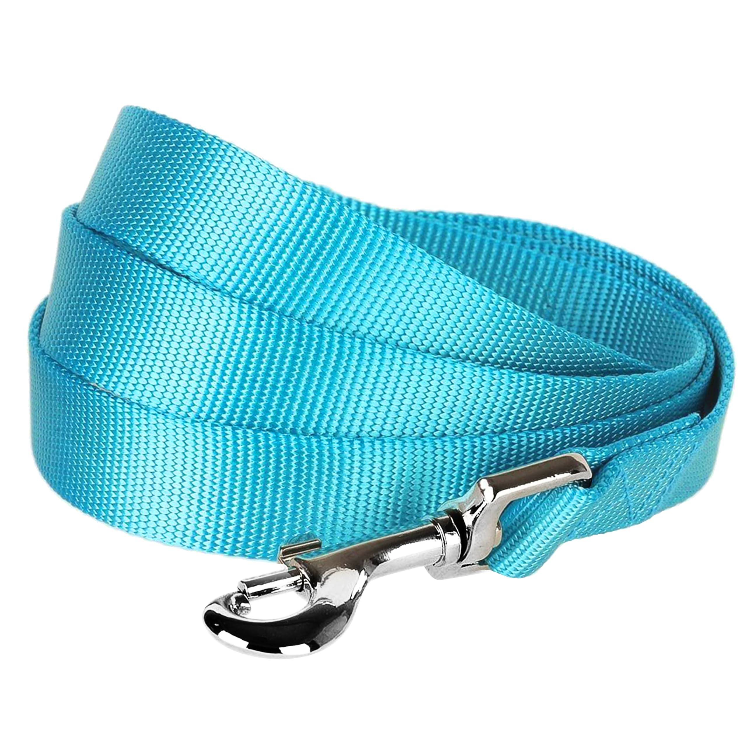 Photo 1 of Blueberry Pet Essentials Turquoise Dog Leash for Medium - 5' * 3/4" Dogs | Heavy Duty Nylon Lead | Lightweight Puppy & Cat Leash for Walking & Training