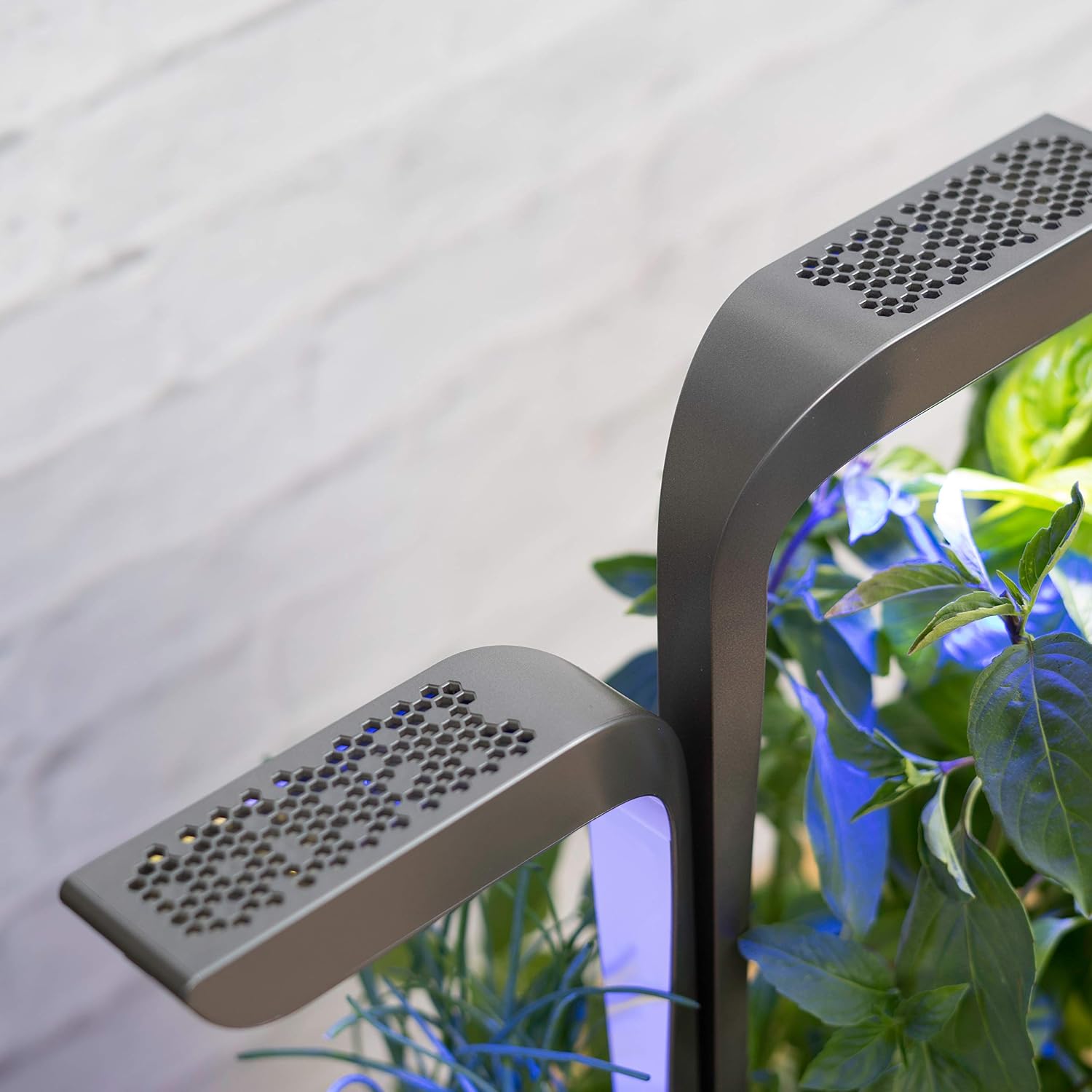 Véritable® Connect (versión Moonlight Gold) - Huerta interior Made ...
