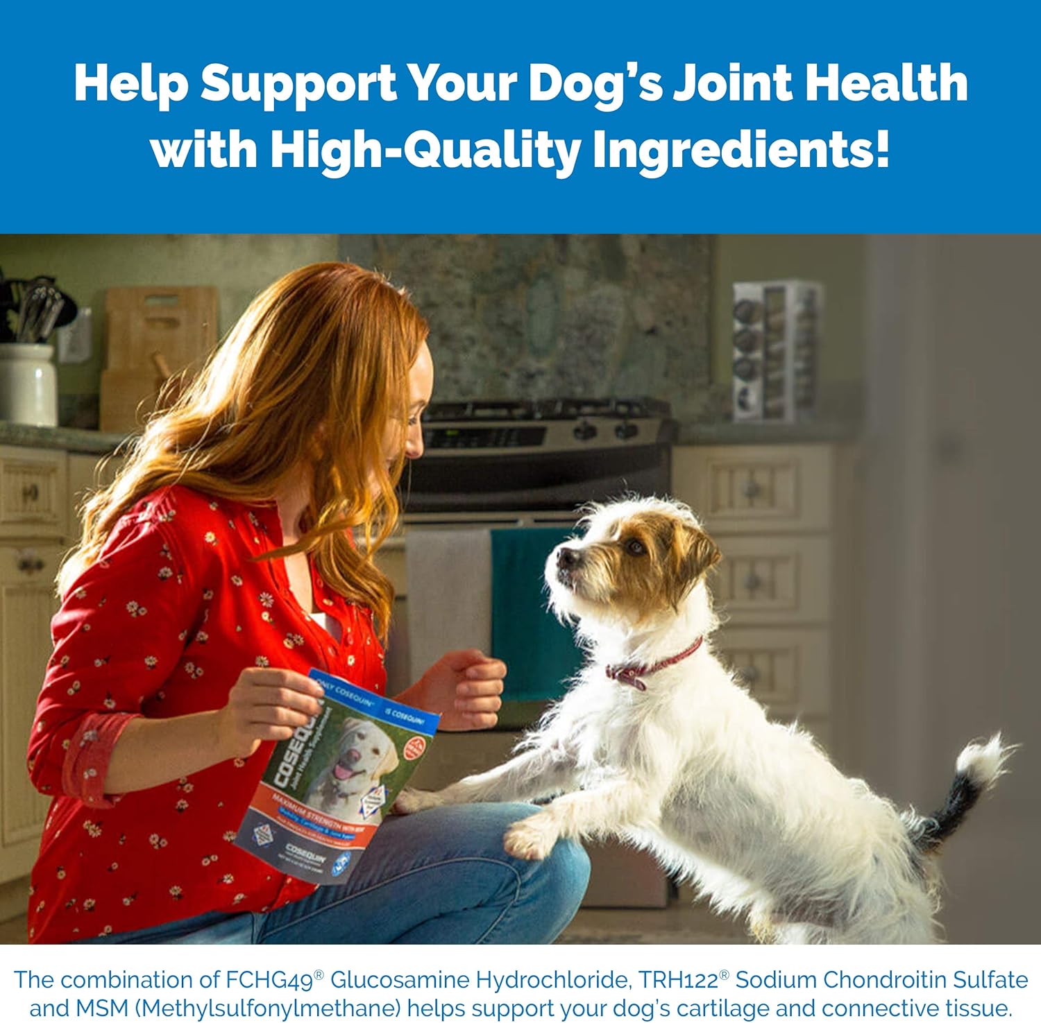 Cosequin Soft Chews with MSM and Omega-3s, 120 ct : Pet Supplies
