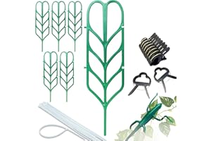 PeerBasics Indoor Plant Trellis Parent (6 Bundle)