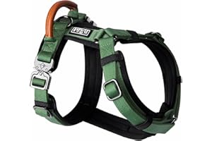 MADE TO ROAM Premium Explorer Harness - Y-Shaped Dog Harness with Adjustable Durable Nylon, Soft Padding, Metal Buckles and Leather Handle for Small, Medium, Large Dogs (Oregon Haze, Size 3)