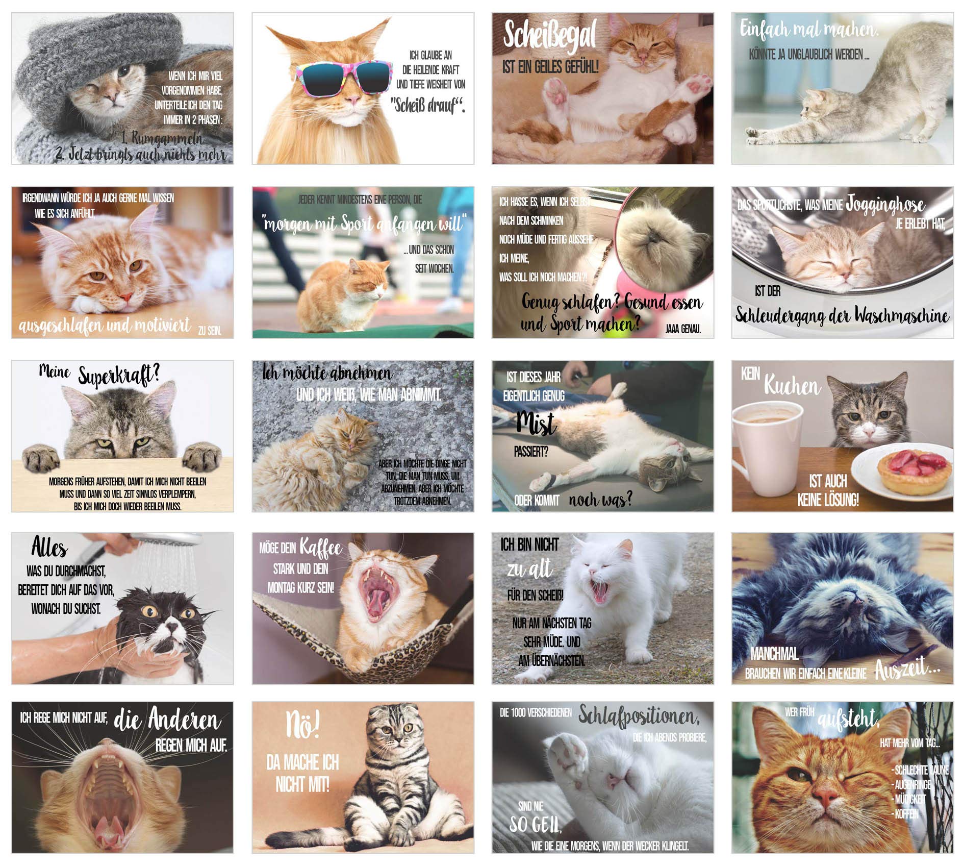 Edition Seidel Set of 40 Cat Postcards with Funny Sayings (2 x 20) - Cards with Saying - Crazy Cats - Birthday - Motivation (40 Cards)