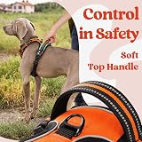 rabbitgoo Large Dog Harness No Pull Front Back Clips Reflective Orange L view 5