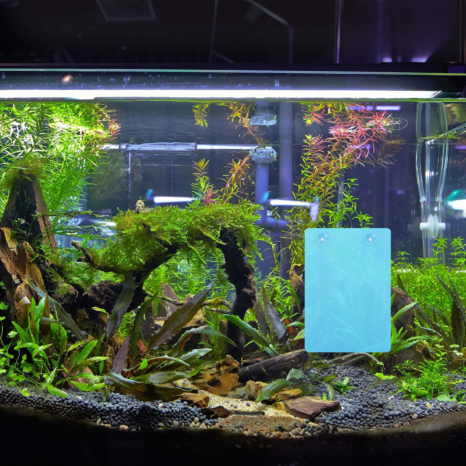 View 7
