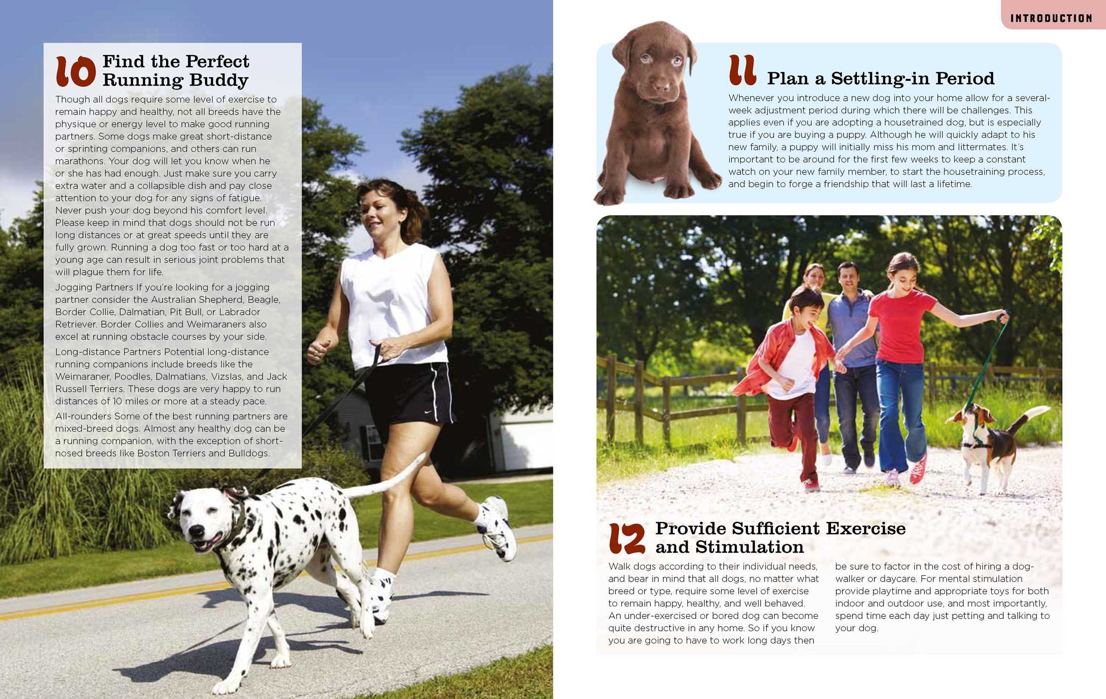 Total Dog Manual (Adopt-a-Pet.com): Meet, Train and Care for Your New Best  Friend: David Meyer, Abbie Moore, Dr. Pia Salk, The Editors of Adopt-a-Pet. com: ...