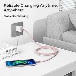 Basesailor USB Type C Charger Cable 3.3FT