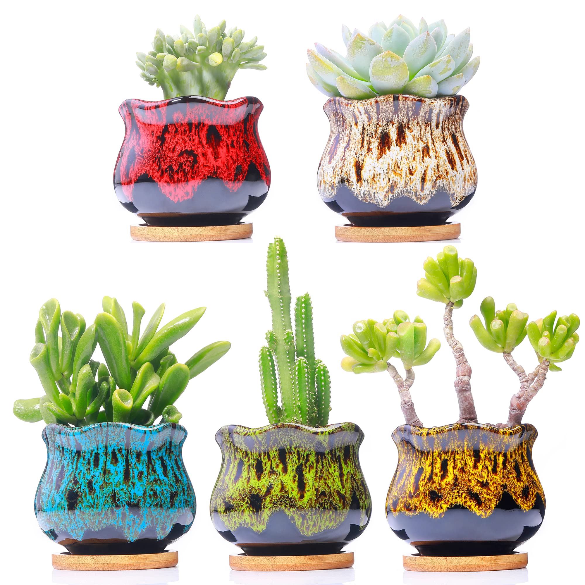 Photo 1 of Cute Ceramic Succulent Garden Pots, Planter with Drainage and Attached Saucer, Set of 5 - Plants Not Included (Fambe)