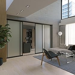 Doors 55 Glass Room Divider Panel and Partition