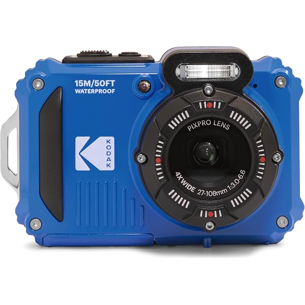 Amazon.com : Lens and Flash Cover Compatible with KODAK PIXPRO