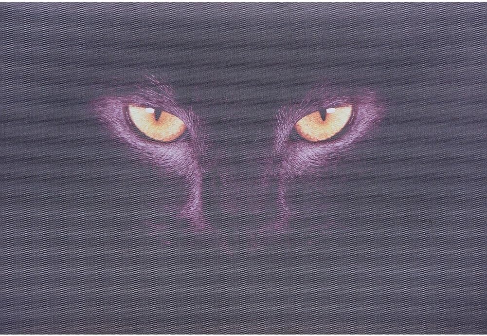 Best Windshield Heating Film