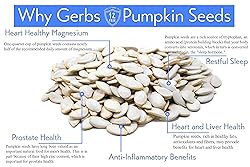 Jumbo Raw Pumpkin Seeds in Shell by Gerbs - 4 LBS