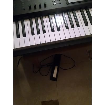 Buy Damper Pedal Ds 1h Online In Vietnam B000rw0fpq