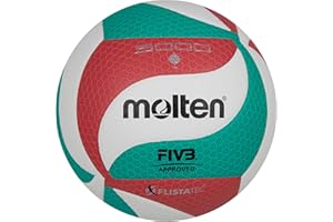 Molten Volley Ball